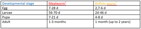 Table 1: Comparison of the life cycle of the yellow mealworm and buffalo worm.