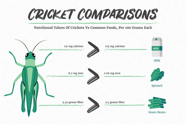 Edible Insects Cricket Nutritional Profile