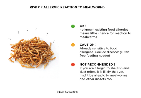 Allergy_Risk_Mealworms