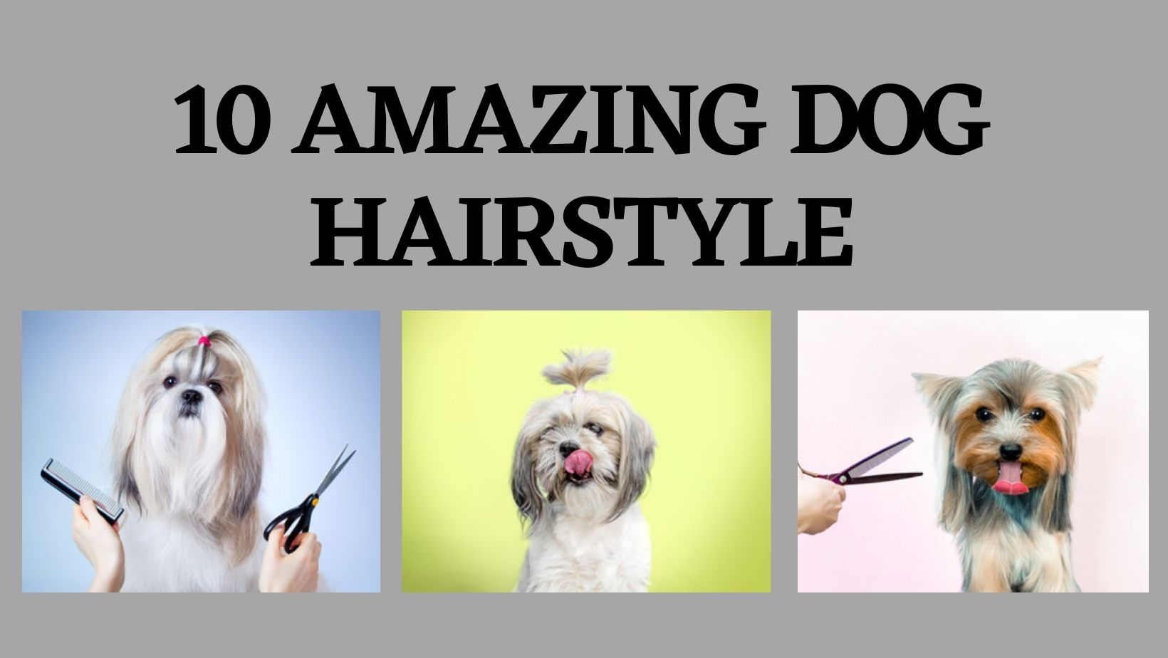 Best Coiffed Styles for Women  All Things Hair US