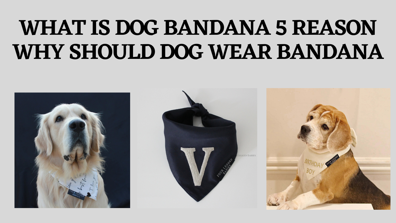 how should a dog wear a bandana