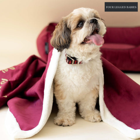 Crimson luxurious Dog blanket