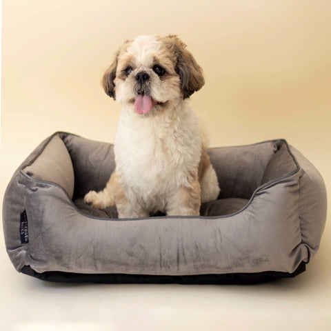 Luxurious Grey Dog Bed