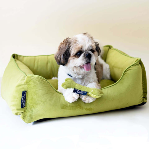 Luxury Dog Sofa Bed 