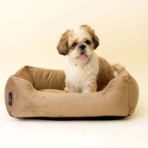 Taupe Luxurious Dog Bed