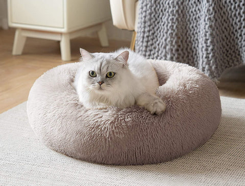 Cat bed that suits your home decor