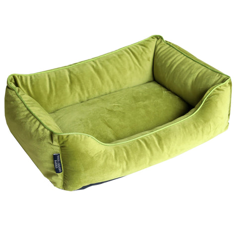 Green dog bed
