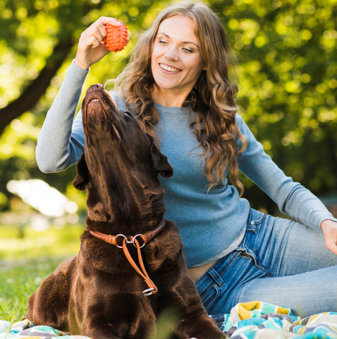 Dog playing with a ball