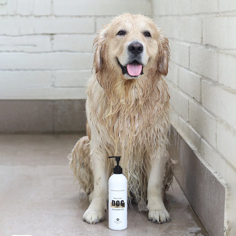 Luxury dog Oatmeal shampoo