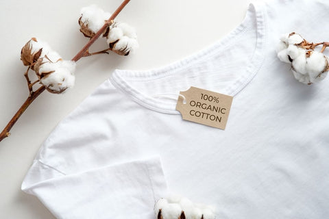 100% organic cotton white tee and cotton flowers on a table top.