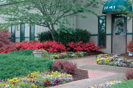 WTSmedia Front Entrance in the Spring