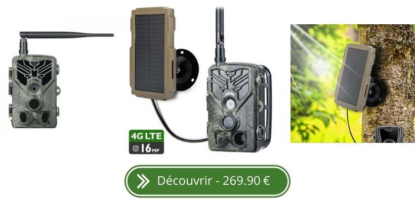 caméra de chasse 4G solaire