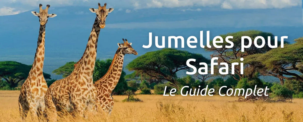jumelles pour safari guide