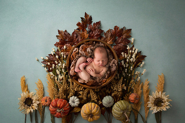 digital baby photo backgrounds for fall and autumn