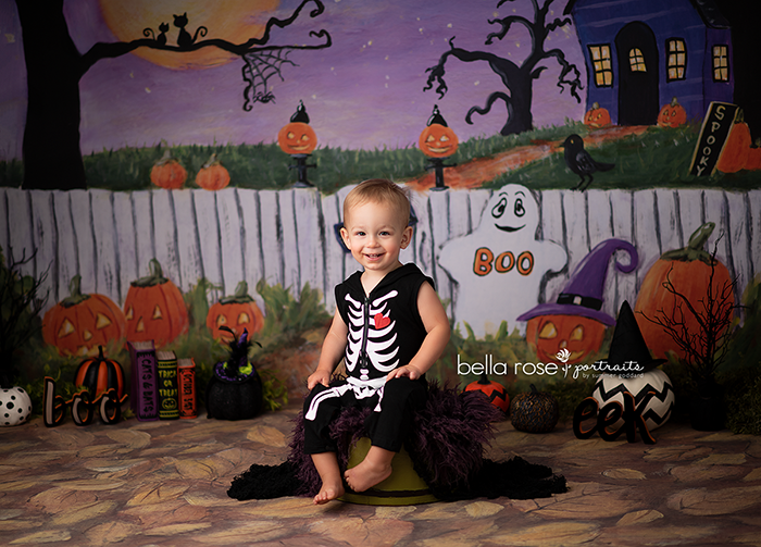 Halloween Photography Background 