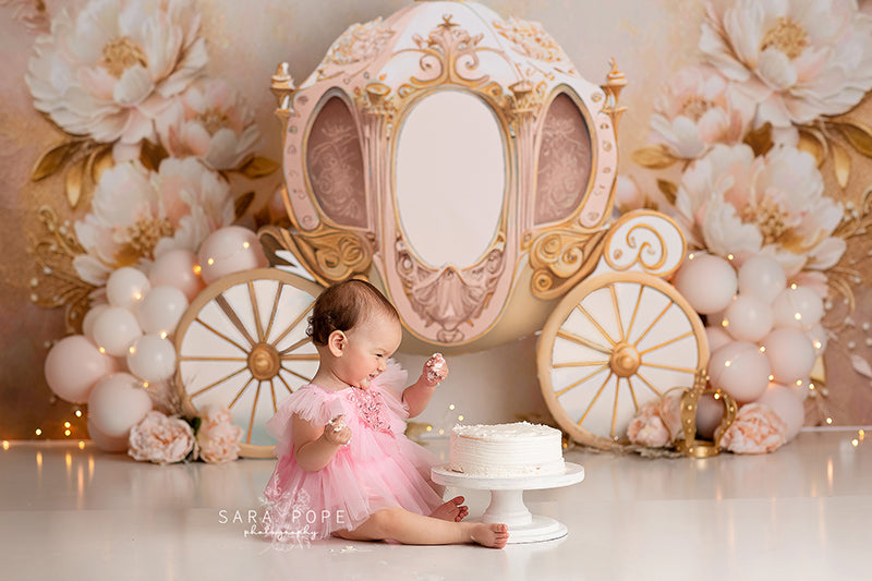 pretty princess carriage photo backdrop