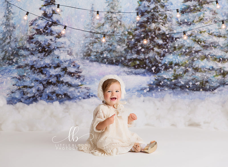 winter backdrops for photography