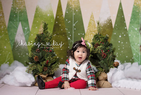 Winter Photography Backgrounds Backdrops Christmas Photoshoot Props