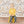Branching Out - HSD Photography Backdrops