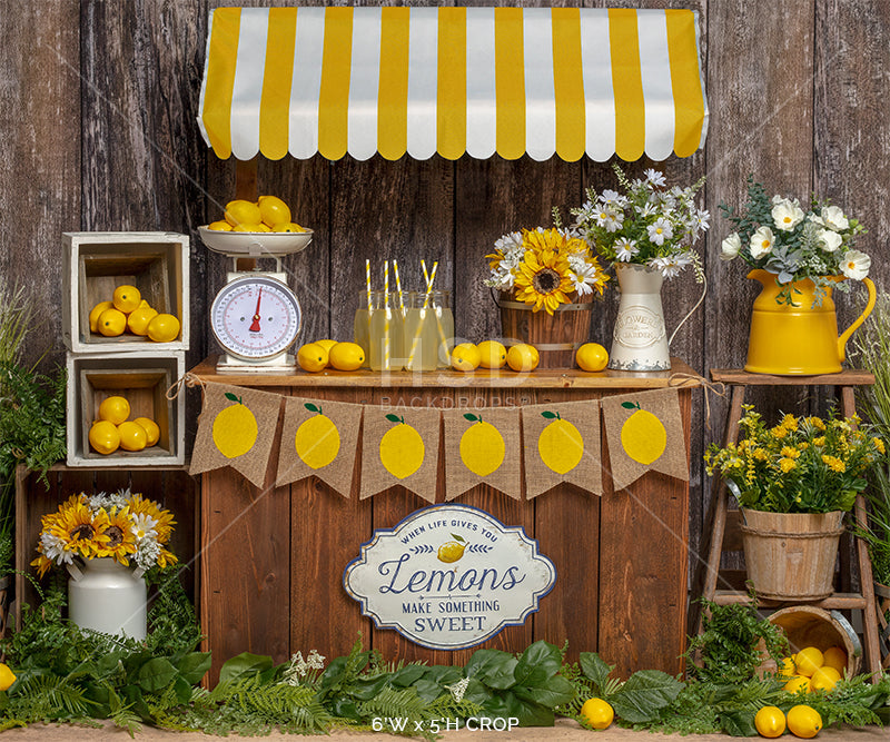 Lemonade Stand Backdrop For Summer Mini Session And Cake Smash Portraits