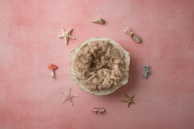 Collecting Seashells | Seashore Coll. | Digital
