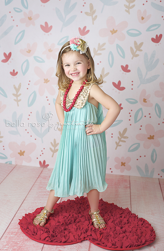Red Photography Backdrop Valentine's Day Photo Props – HSD Photography ...