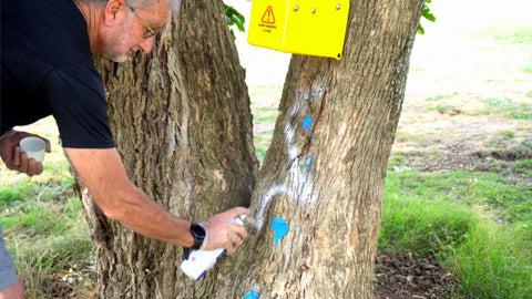 Duncan spraying the aerosol lure on the tree trunk to attract possums to the flipping timmy