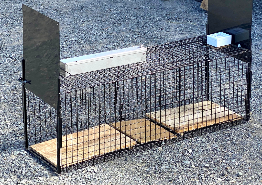 Predator Cage Trap