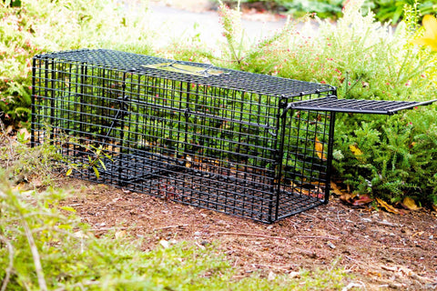 Timms Possum Trap, Effective possum traps