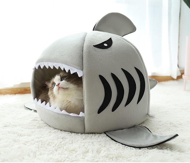 shark dog house
