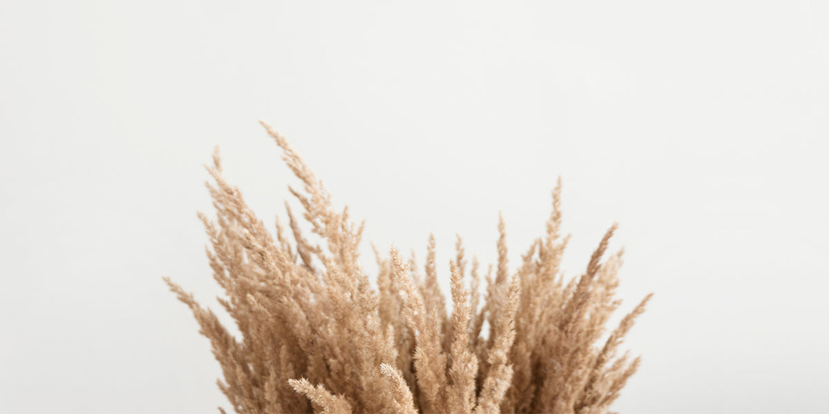 Brown grass to be used in home decor