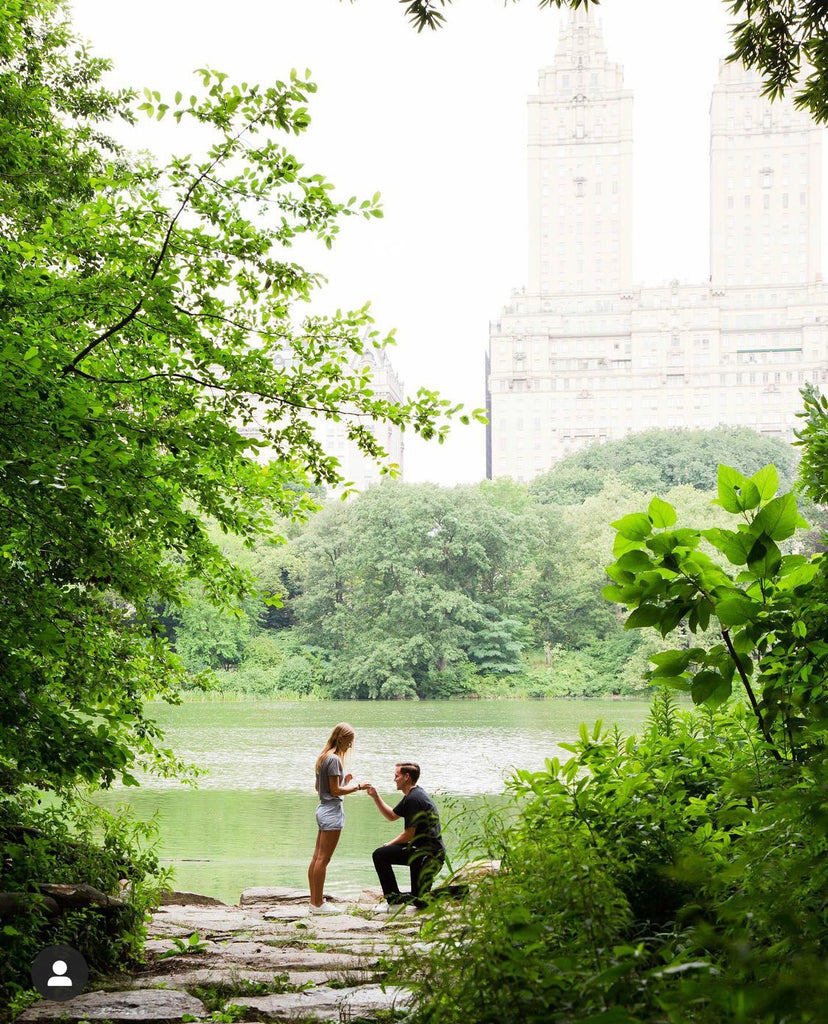 central park proposal custom engagement ring New york