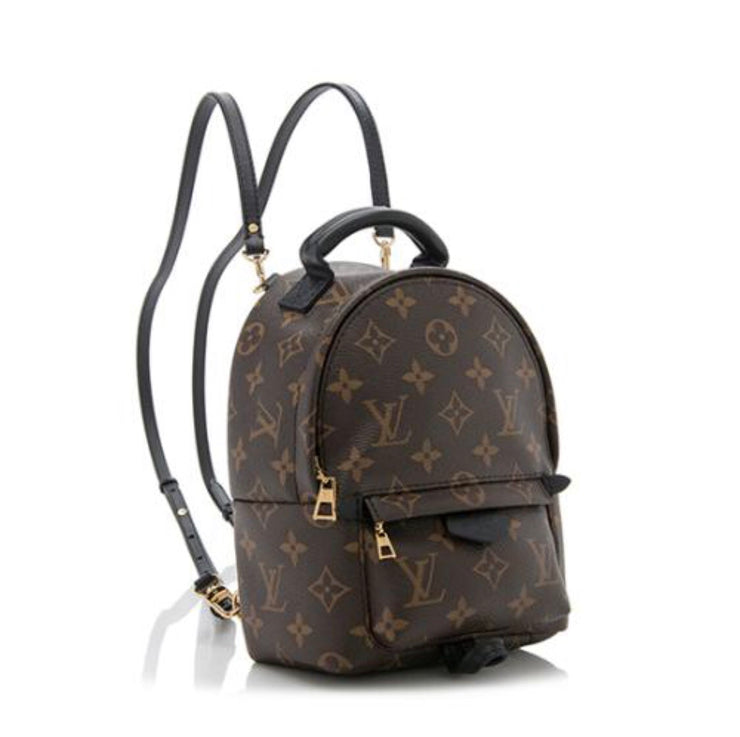 isolatie Geslaagd fusie Louis Vuitton Palm Springs Mini Backpack – Tailored Styling