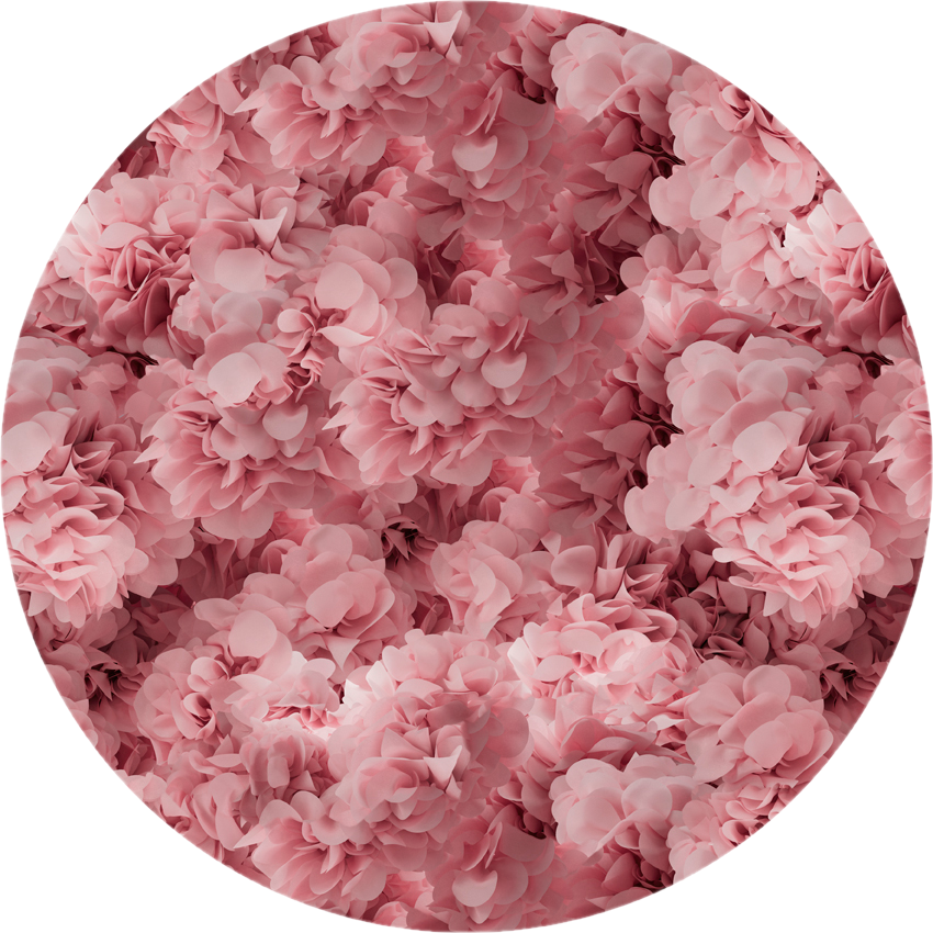 Moooi Carpets - Rond Vloerkleed Hortensia Pink Rond Low Pile -