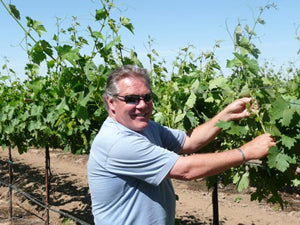 Mike Manna tending vines at Mikami Vineyards