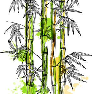 Bamboo promo
