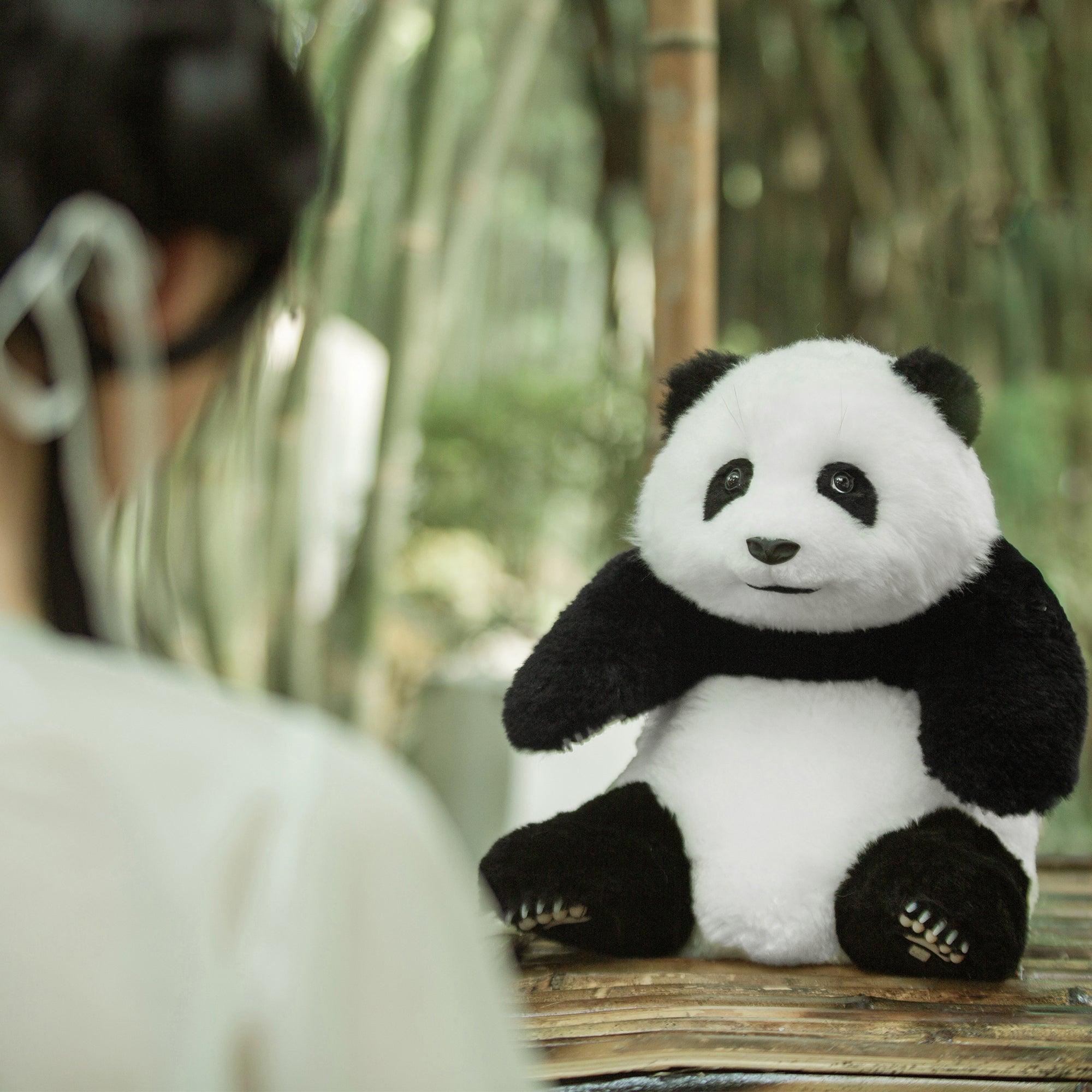 hehua panda doll