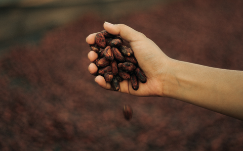 Bean-to-bar chocolat durable chocolat artisanal consommation responsable développement durable production éthique