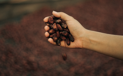 Bean-to-Bar chocolat durable chocolat équitable développement durable chocolat éthique fève de cacao de qualité