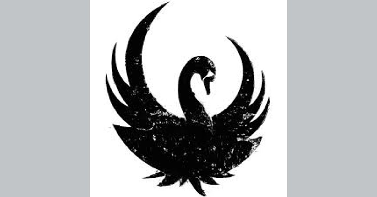 Black Swan – Black-Swan-Boutique-Online