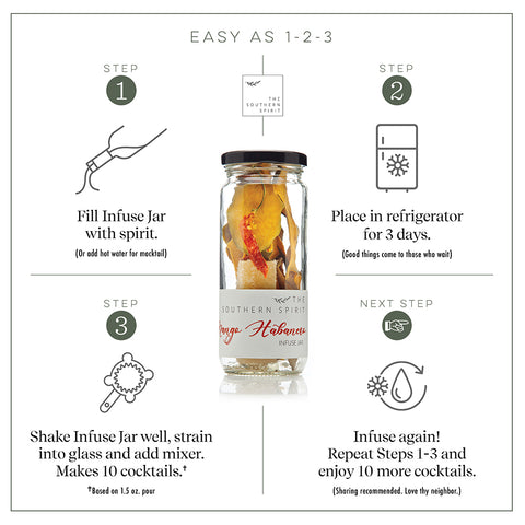 Cocktail Infusion Steps