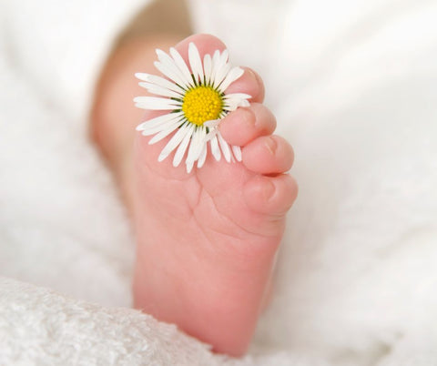 newborn gift flower