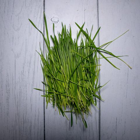 Here’s how wheatgrass can bring the amazing changes in your health.