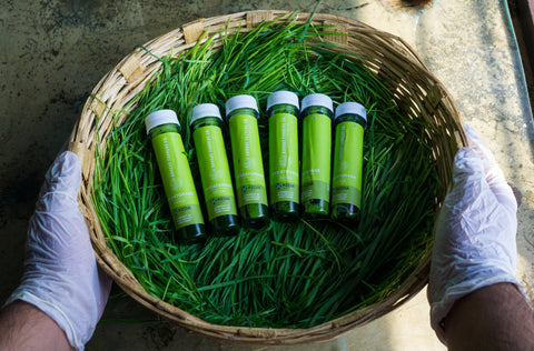 Here’s how wheatgrass can bring the amazing changes in your health.