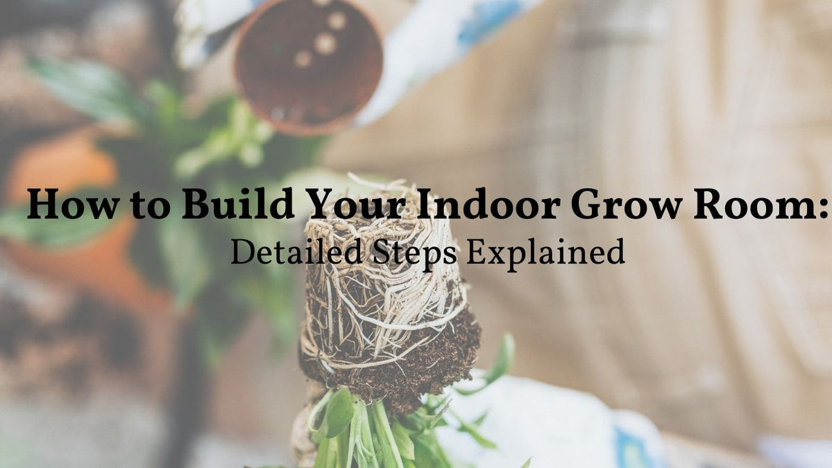 How to Set Up Your Indoor Grow Room Step by Step | Medicgrow