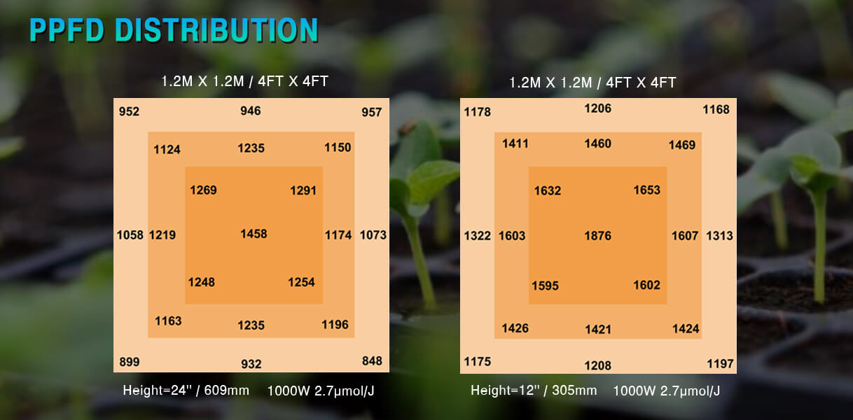 Ez 8 PPFD Distribution