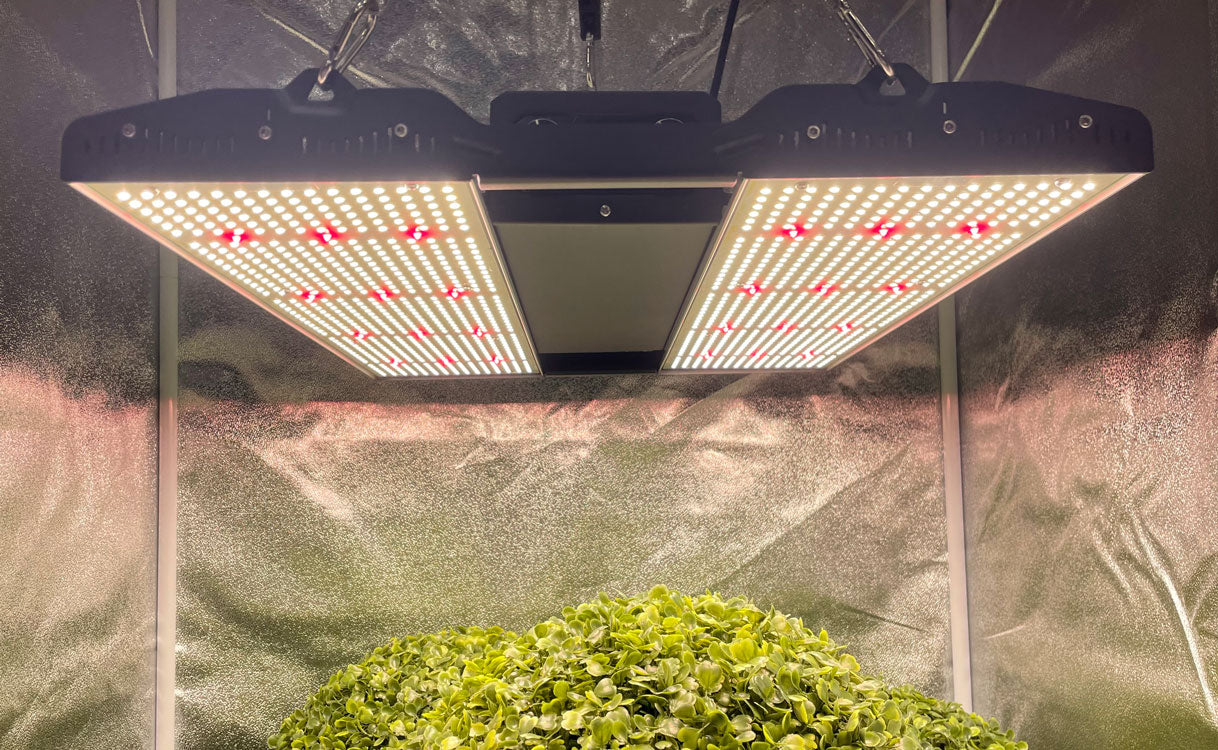 Medic-Grow-MINI-SUN-2-Rack-Tent-LED-Grow-Light-Introduction