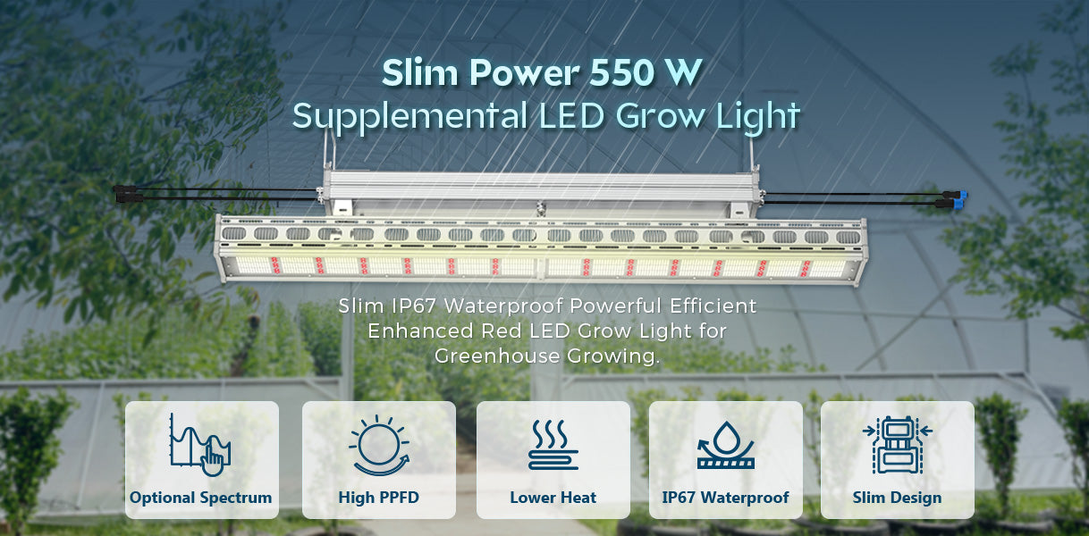 Medic Grow Slim Power 2 greenhouse led grow lights is specially designed for commercial greenhouse growth.jpg