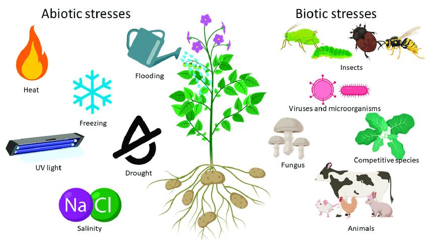 biotic plant stress vs abiotic plant stress