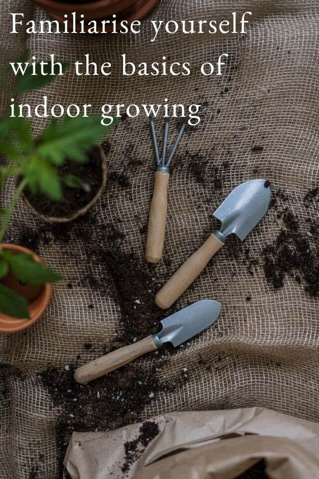 indoor garden for indoor growing